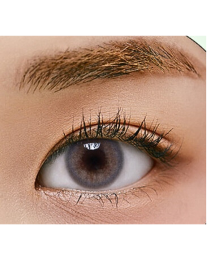 Sherbet Grey (1 month/2 lens/box)